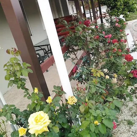 With Private Pool For Rent In Tzanata Kefalonia Ferienhaus *